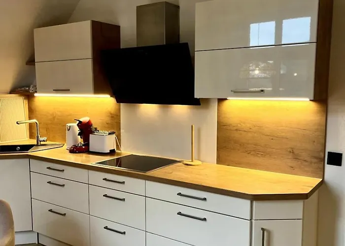 Appartement Moderne Altbauwohnung Im Gruenen Wuppertal