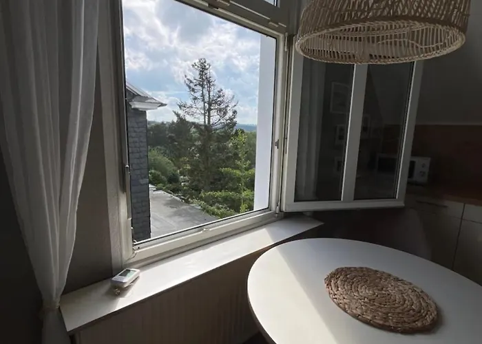 Moderne Altbauwohnung Im Gruenen * Wuppertal